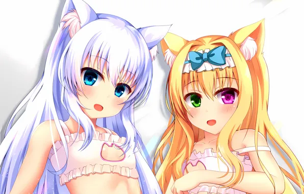 Sexy, lingerie, bra, cleavage, long hair, girls, boobs, animal ears