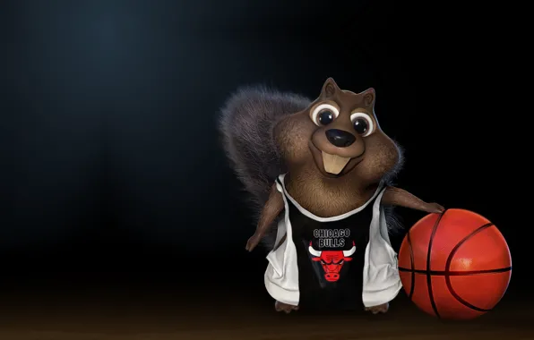 Картинка мяч, баскетбол, Чикаго Буллз, Chicago Bulls, детская, darlon ximenes, Squirrel playing basketball!
