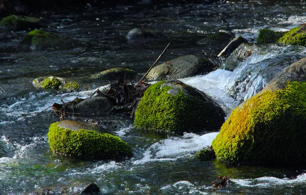 River, water, stones, moss