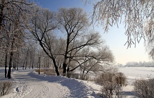 Картинка зима, дорога, снег, деревья, природа, фото
