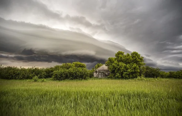 Поле, лето, небо, дома
