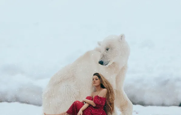 Картинка зима, девушка, снег, настроение, ситуация, медведь, белый медведь, красное платье