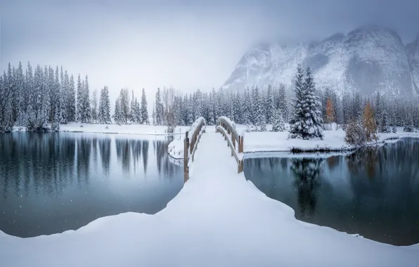 Картинка зима, снег, деревья, горы, мост, река, ели, Канада