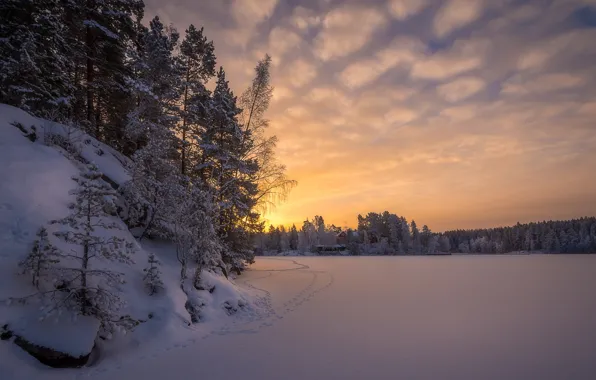 Картинка зима, лес, снег, деревья, следы, рассвет, утро, Финляндия