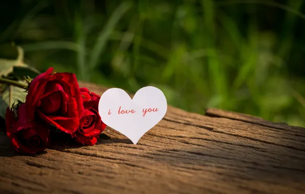 Картинка любовь, цветы, сердце, розы, red, love, i love you, heart
