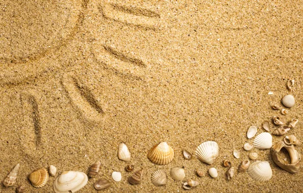 Картинка beach, texture, sand, marine, seashells, песок ракушки