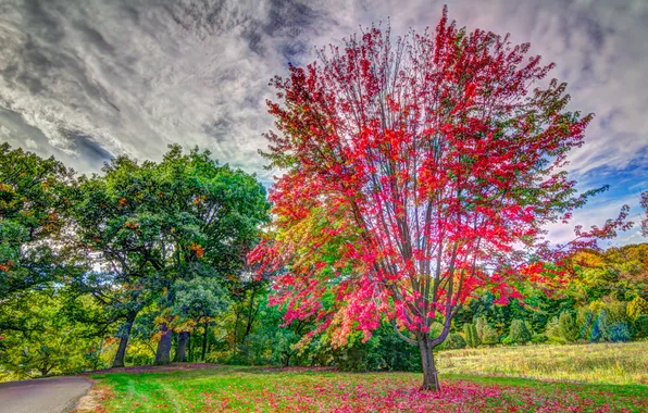 Картинка Landscape, Road, Fall Color