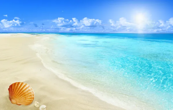 Картинка beach, sea, sun, sand, seashell