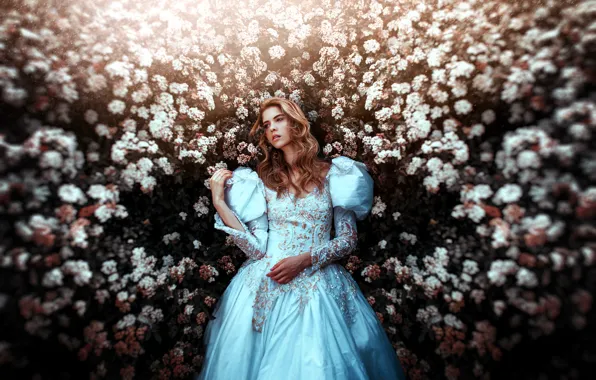 Картинка девушка, фон, платье, красотка