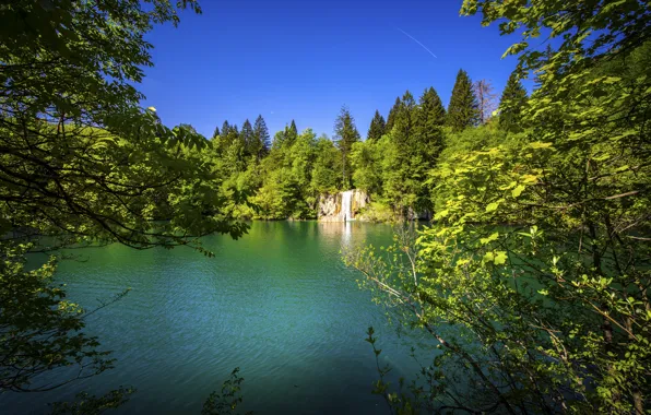 Лес, деревья, водопад, Хорватия, Croatia, Плитвицкие озёра, Plitvice Lakes National Park, Национальный парк Плитвицкие озёра