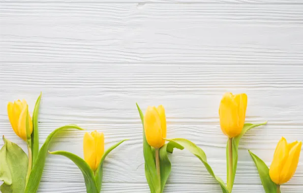 Цветы, весна, желтые, тюльпаны, fresh, yellow, wood, flowers