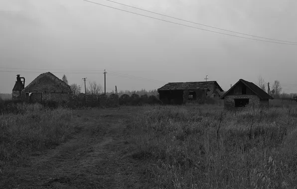 Дорога, небо, трава, здания, дома, чёрно-белое, Россия, архитектура