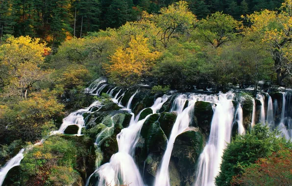 Картинка осень, лес, природа, водопад, Китай