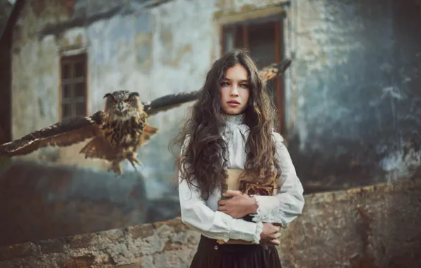 Девушка, дом, сова, птица, книги, девочка, филин, подросток