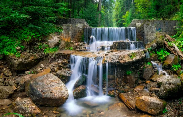Картинка лес, деревья, камни, водопад, каскад