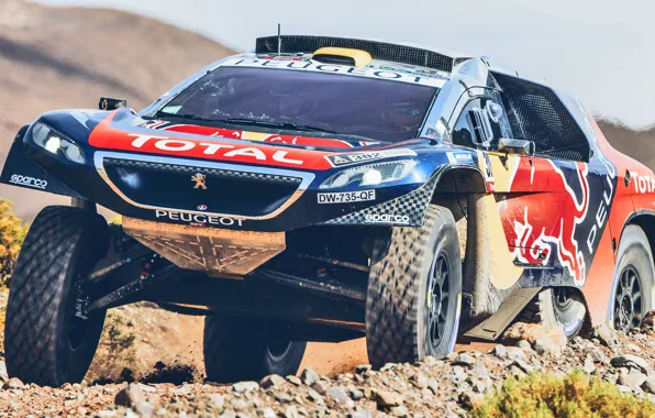 Песок, 2008, Спорт, Скорость, Гонка, Peugeot, Фары, Red Bull