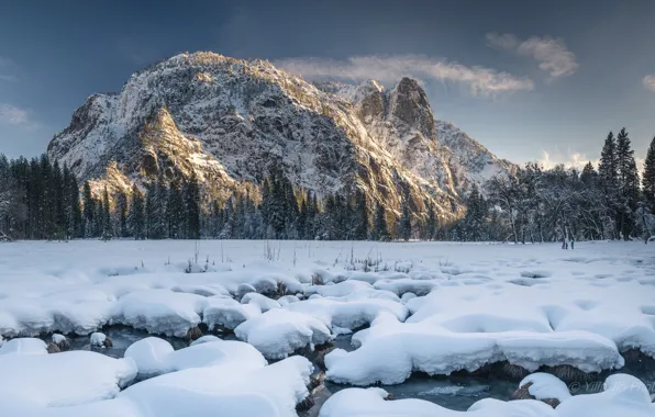 Картинка зима, лес, снег, горы, Калифорния, California, Национальный парк Йосемити, Yosemite National Park