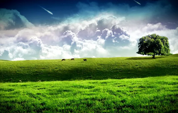 Картинка поле, облака, дерево, коровы