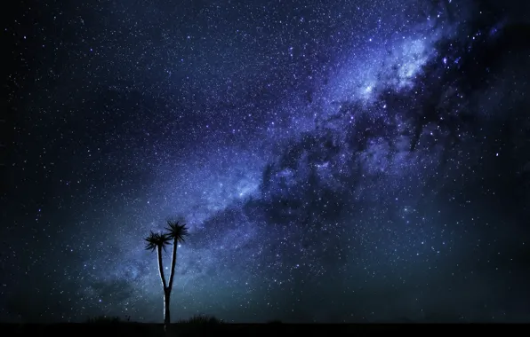 Space, Way, Milky