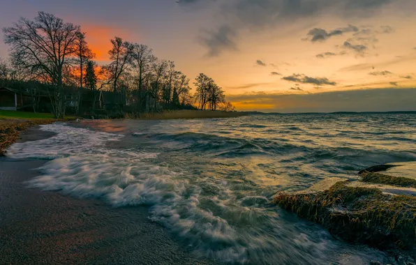 Море, волны, деревья, закат, побережье, дома, вечер, прибой