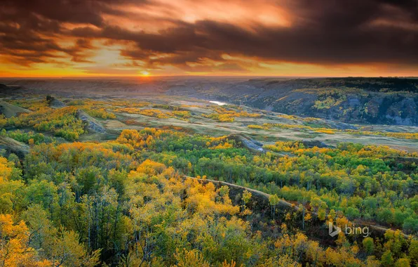 Картинка осень, лес, небо, закат, тучи, река, Канада, Альберта
