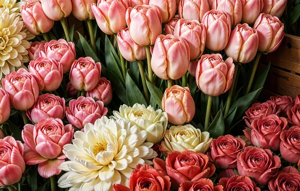 Цветы, colorful, pink, flowers, tulips, spring, roses