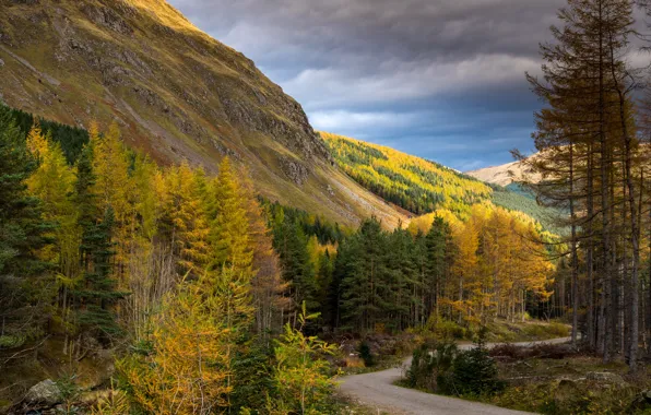 Картинка дорога, осень, лес, деревья, горы, скалы, Шотландия, Cairngorms National Park