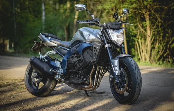 Yamaha, Диски, Moto, FZ1-N, Литр