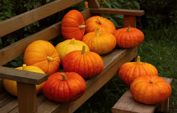 Картинка осень, скамейка, природа, плоды, тыква, овощи