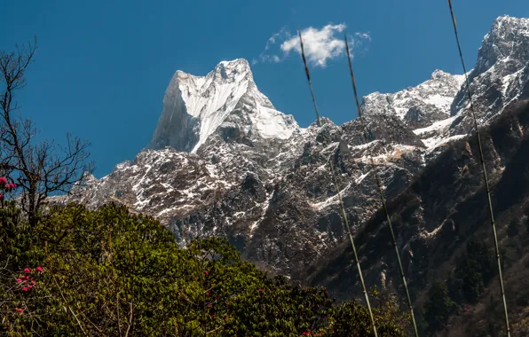 Небо, снег, гора, вершина, Гималаи, Мачапучаре, (6993 м)