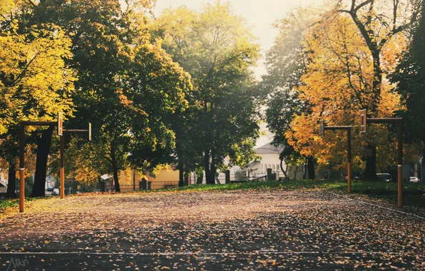 Картинка осень, деревья, кольца, асфаль, баскетбольные