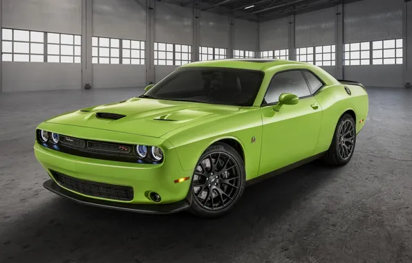 Dodge, Challenger, Scat Pack, Challenger RT, 2019