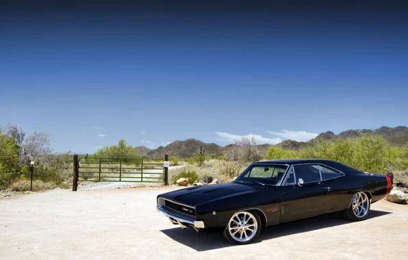 Dodge, power, charger, r/t