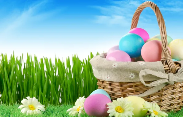 Картинка grass, sky, nature, flowers, Easter, eggs, holiday