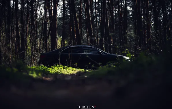 Машина, авто, лес, деревья, фотограф, auto, photography, photographer