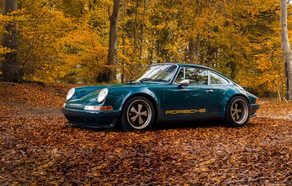 Осень, деревья, 911, Porsche, porsche, порше, Porsche 911, BEL001 By Theon Design