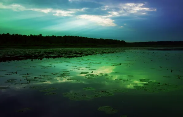 Картинка лес, небо, облака, лучи, озеро, гладь, отражение, рассвет