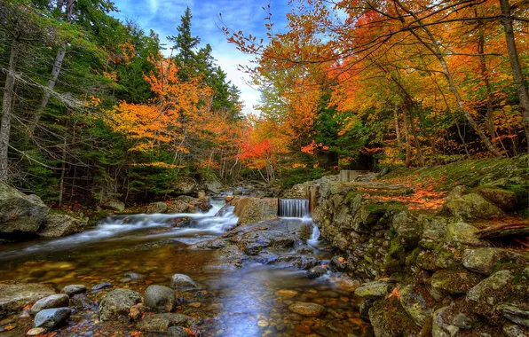 Картинка осень, лес, деревья, ручей, камни, водопад