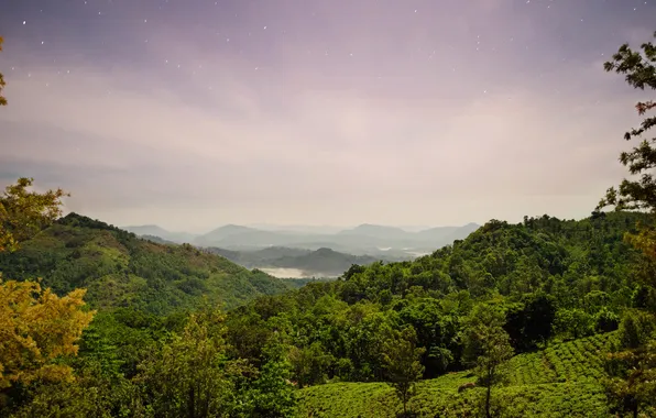 Горы, природа, поля, остров, панорама, леса, Sri Lanka