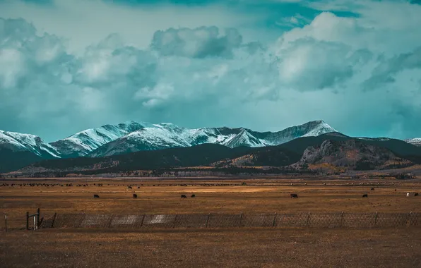 Поле, облака, снег, горы