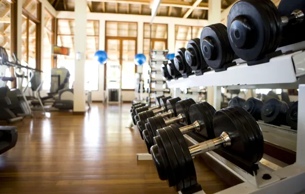 Fitness, Gym, Dumbells