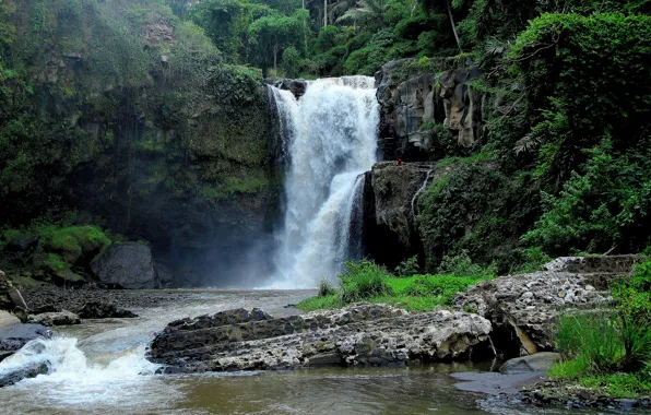 Картинка лес, река, скалы, водопад, джунгли, Бали, Индонезия, Bali