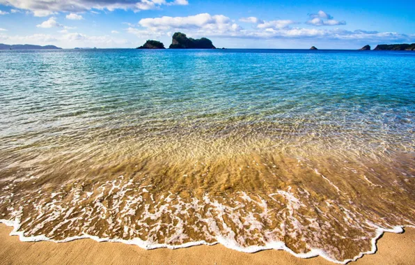 Пляж, вода, прозрачность, океан, beach, peninsula, Coromandel, New-Zealand