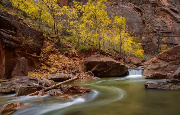 Картинка деревья, река, ручей, камни, скалы, каньон, Юта, США