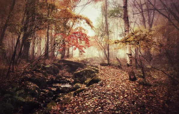 Картинка осень, мост, туман, парк