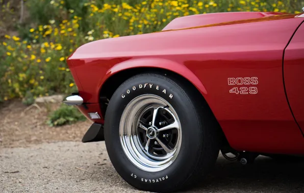 Mustang, Ford, Muscle, 1969, Red, Car, Classic, Musclecar