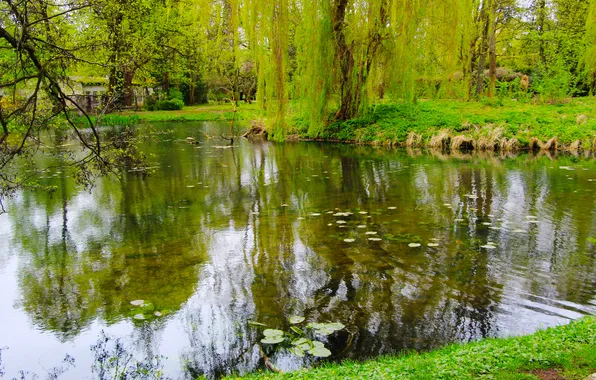 Water, park, lake, spring, pond