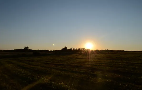 Картинка поле, солнце, лучи, закат, вечер