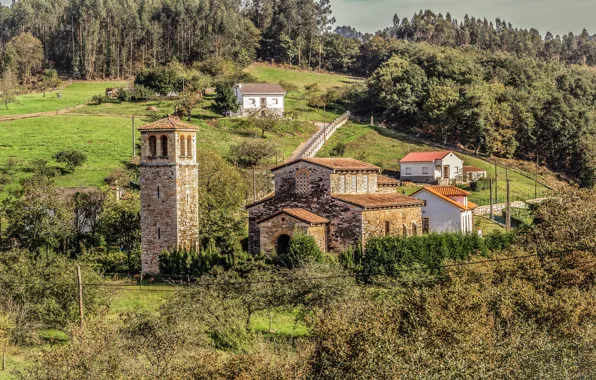Лес, деревья, церковь, храм, Испания, Spain, Temples, San Pedro de Nora Asturias