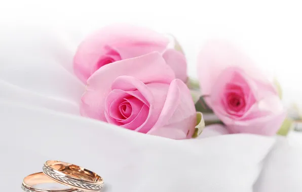 Картинка цветы, розы, ткань, flowers, обручальные кольца, roses, cloth, wedding rings